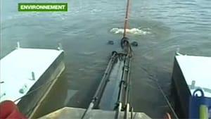 france 24 etang