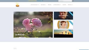 association saint francois de sales